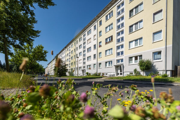 Eine Reihe beigefarbener Wohnhäuser mit vielen Fenstern, die an einem sonnigen Tag hinter Wildblumen und Grünpflanzen zu sehen sind.